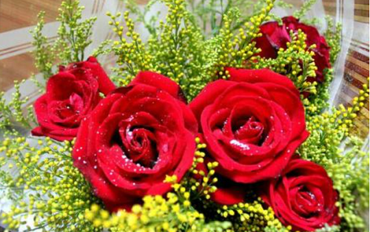 北京韋林意威特工業(yè)內(nèi)窺鏡有限公司預祝大家新年快樂，喜樂安康！